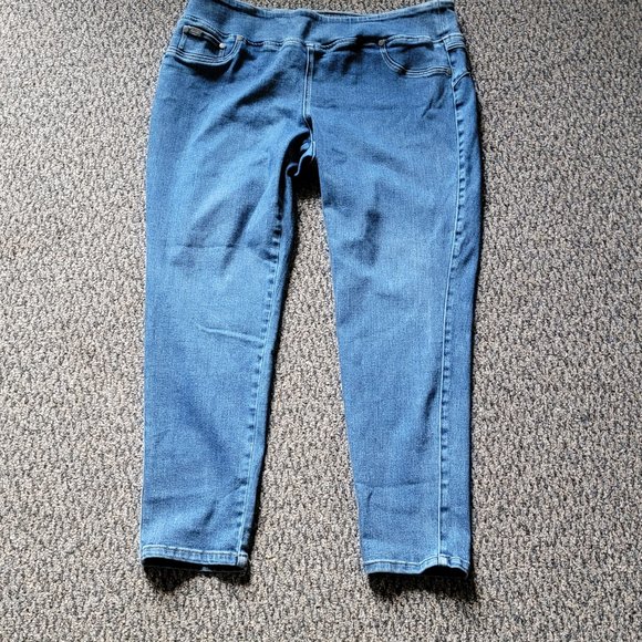 DG2 by Diane Gilman Light Wash Stretch Jeggings Size 1X - Picture 4 of 13